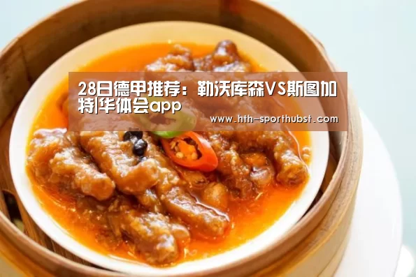 28日德甲推荐:勒沃库森VS斯图加特|华体会app(图2) 华体会app
